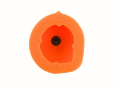 61353371.jpg
